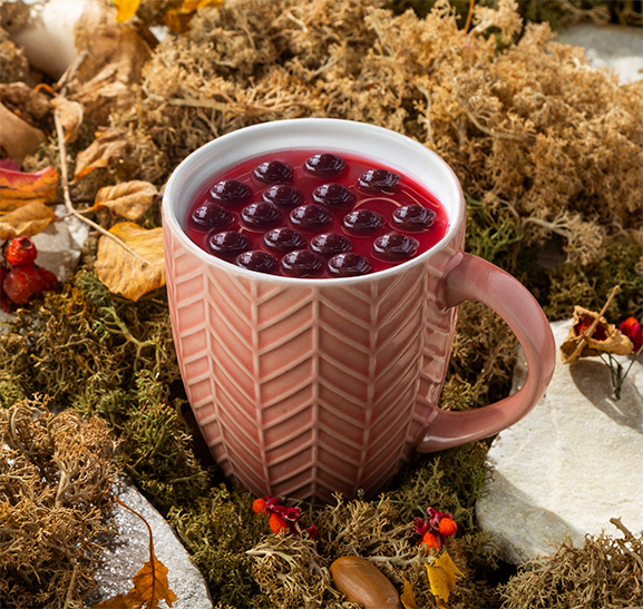 Бальзам Карелии